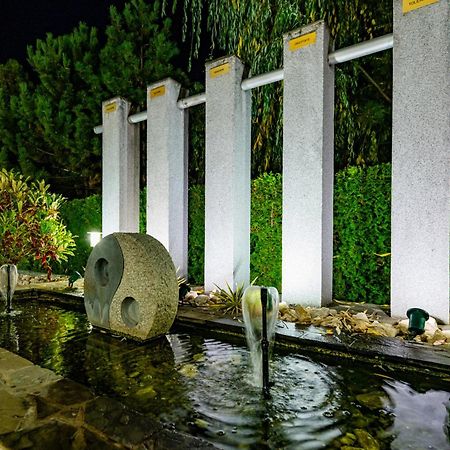 Casa Augsburg Otel Băneşti Dış mekan fotoğraf