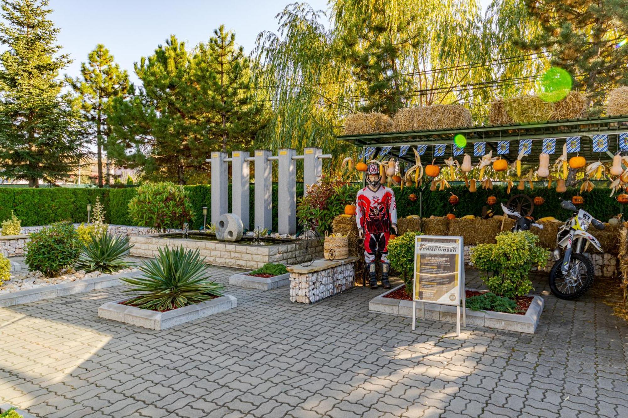 Casa Augsburg Otel Băneşti Dış mekan fotoğraf